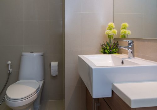 Luxury Interior bathroom
